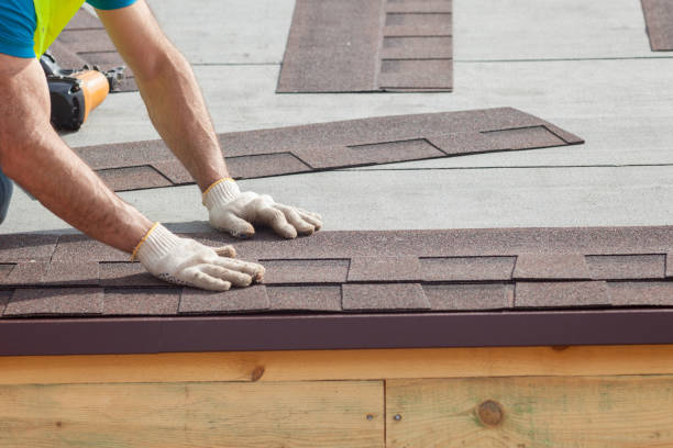 Best Roof Coating and Sealing  in Egypt, AL